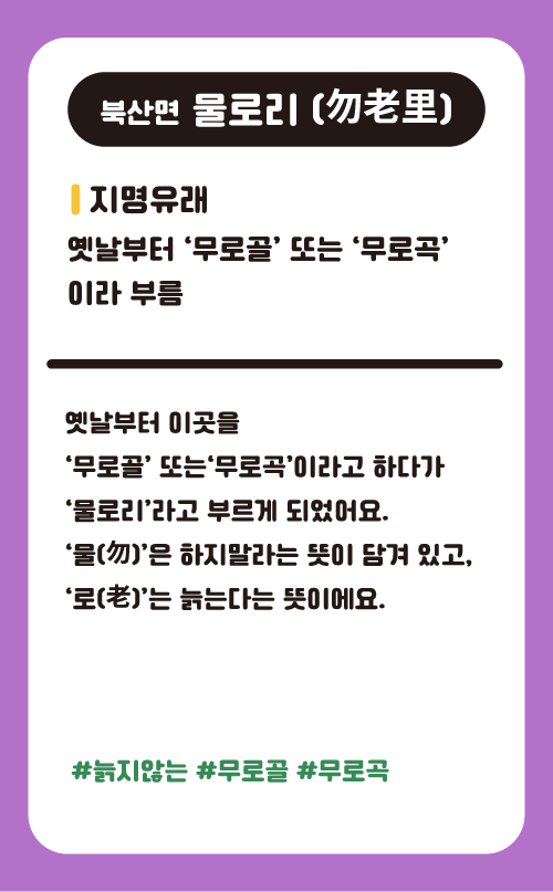 물로리